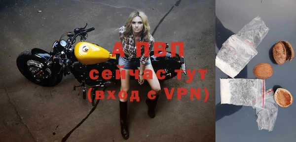 дмт Абаза