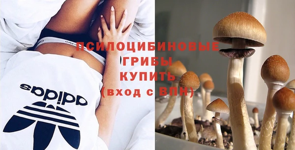 дмт Абаза