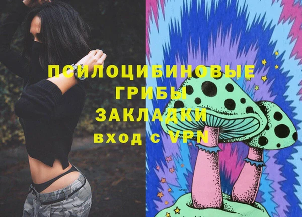 дмт Абаза